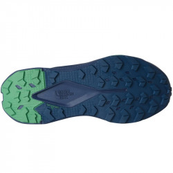The North Face Altamesa 300 V2 NF0A8G6MQ3H Herren Trailrunning Schuhe