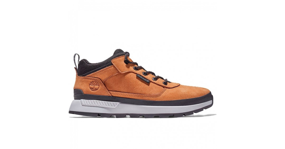 Timberland Field Trekker Low Lace Herren Sneaker