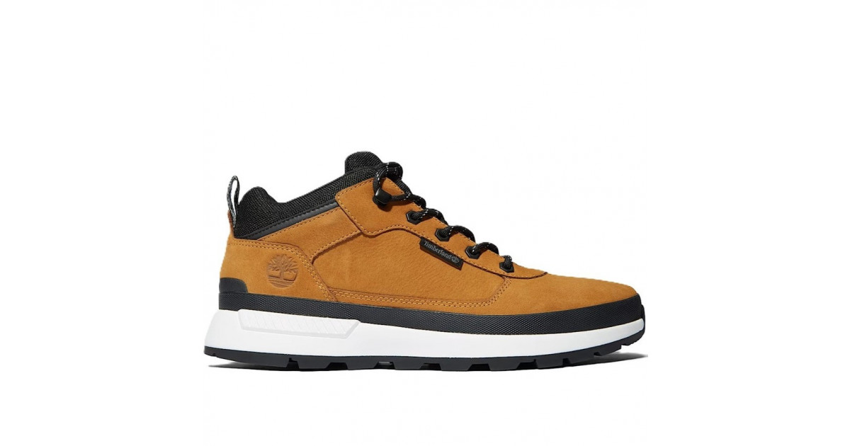 Timberland Field Trekker Low Lace Herren Sneaker