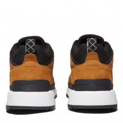Timberland Field Trekker Low Lace Herren Sneaker