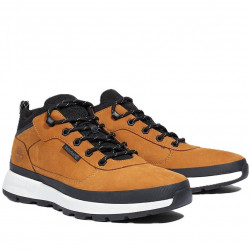 Timberland Field Trekker Low Lace Herren Sneaker