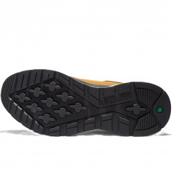 Timberland Field Trekker Low Lace Herren Sneaker