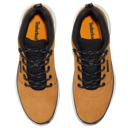 Timberland Field Trekker Low Lace Herren Sneaker